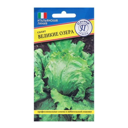 Salad Salad Great Lakes (Great Likes 659) (RS-1), 0.5 gr,