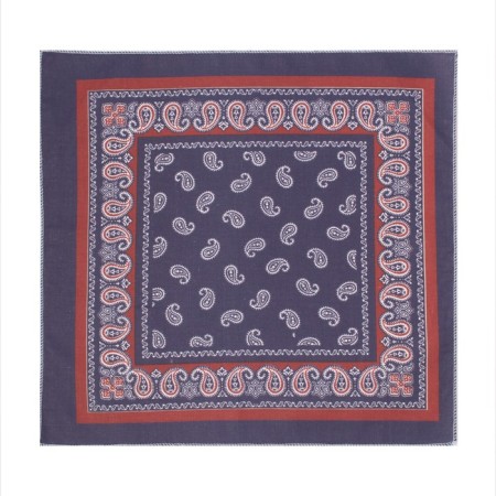 Men's nasal shawls “Ethel”, size 30x30 cm, (set 12 pcs,) print mix, 100% cotton-5