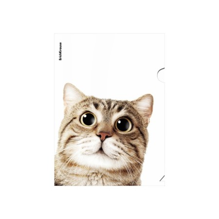 A4, 160 μm, Erichkrause "Hiding Cats", 4 design, mix-1
