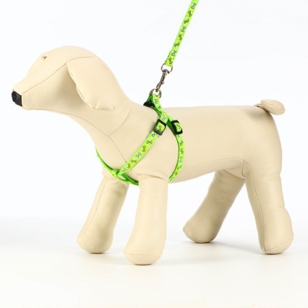 Set "Star Bones", leash 120 x 1 cm, fire 23-35 cm, green-1