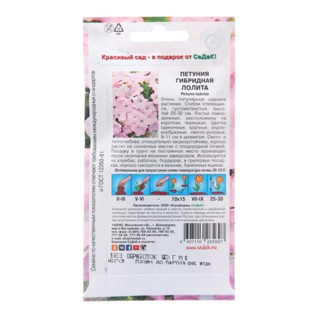 Flowers of Petunia "Lolita", Euro, 10 pcs-1