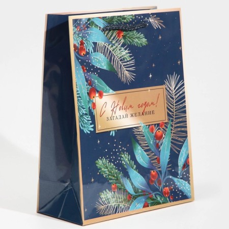 Laminated vertical package “Make desire”, MS 18 x 23 x 8 cm, New Year-1