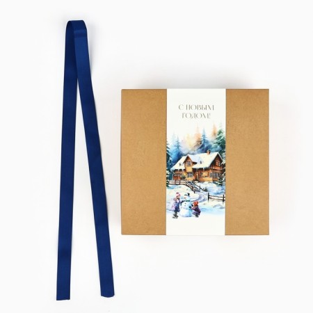 Box a gift New Year's folding “Winter Fairy Tale”, embossing, 20 x 20 x 8 cm, New Year-3