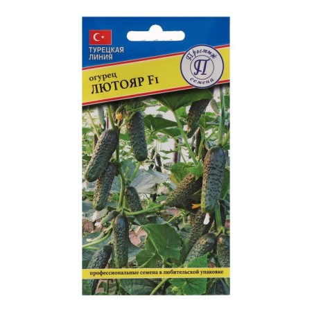 Cucumber seeds "Lyutoyar" F1, 5 pcs
