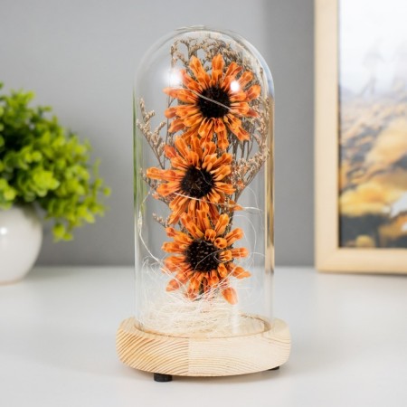 Nightlight "Orange flowers" LED from battery 3xlr44 10x10x20 cm Risalux