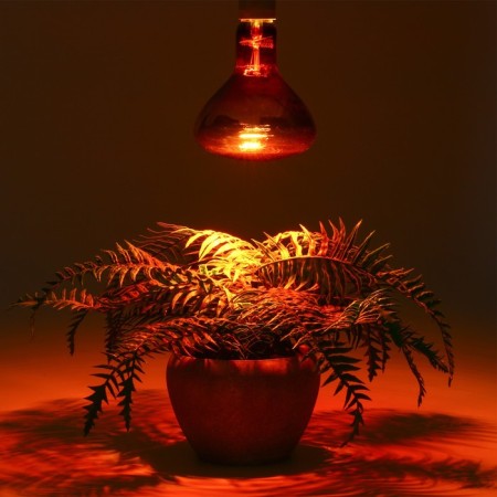 Infrared lamp, 250 watts, E 27, 220V, wavelength of 2500 nm, red sausage