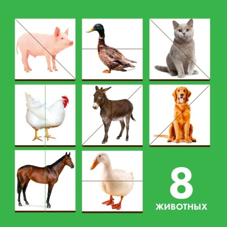 Pictures-Plovinka "Pets"-2