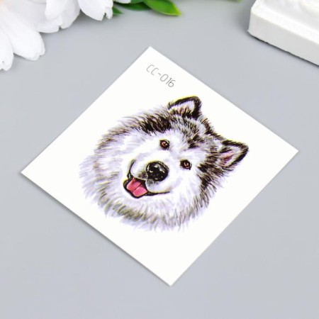 Tattoo on the body Color "Northern Dog" 6x6 cm-1
