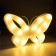 Night Plastic from batteries 2AA "Butterfly" mix 17x25.8x2.8 cm Risalux