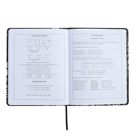 Universal Diary Grade 1-11, 48 sheets of "cyberism", solid cover of artificial leather, lies, universal cheat sheet, block 80 g/m2-10