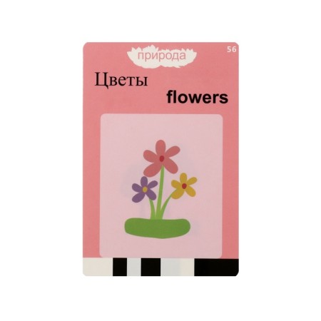 Interactive game for learning English Windigo, 112 bilateral cards, pink-15