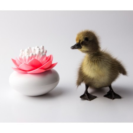 Container for storing cotton sticks Lotus, white/pink-3