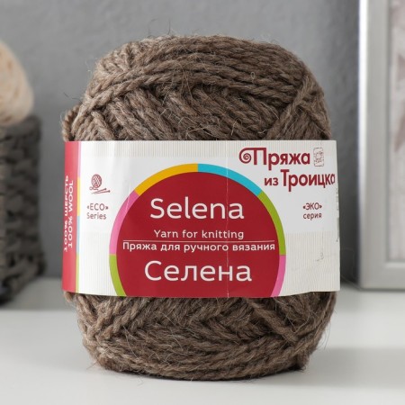 Yarn "Selena" 100% wool 160m/100g (372 natures. Dark)