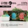 Gift set of cosmetics "Happy New Year!", Bath salt 3 x 100 g, pure happiness