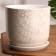 Flower python white pot 5.4 l