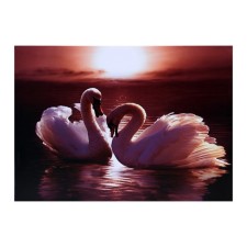 Picture on the canvas 