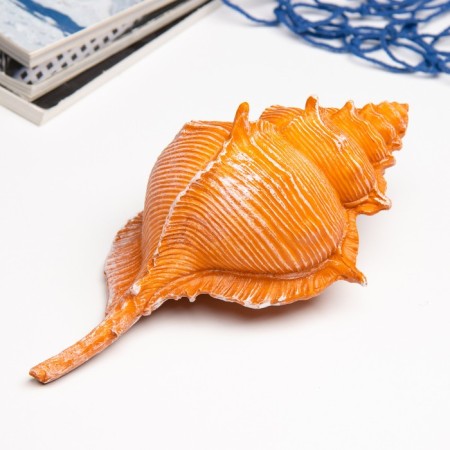 Interior souvenir "shell" 23x11x10cm