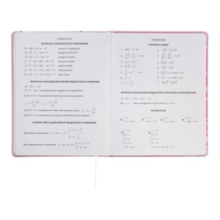 Universal diary for grade 1-11 Kitty, hard cover, artificial leather, foam rubber, lies, 80 g/m2-11