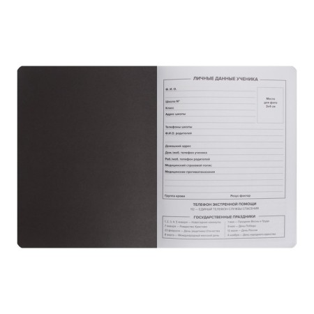 School diary for grades 1-11 Skull, soft cover, artificial leather, full-color neon seal, lies, 48 ​​sheets, 80g/m2-3
