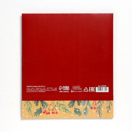 Box folding double -sided "New Year's botanist", 20 x 18 x 5 cm, without tape, New Year-5