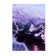 Deliciper of Leduced A5, 128 sheets, Acryl, Soft-Touch lamination, block 60 g/m2