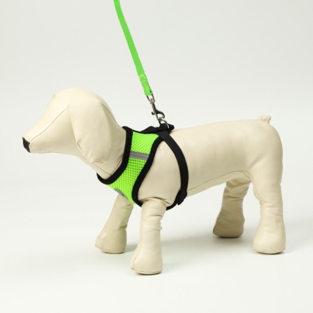 A set of ammunition with a soft harness and a reflective patch, XL, Osh 40 cm, og 46-60 cm, green, 7-1