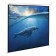 Production screen 180 x 180 cm, Brauberg Moto, matte, wall, electric drive