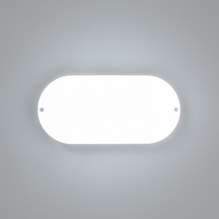 Oval lamp LED 20W IP65 white 6.8x13.5x27 cm-1