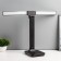 Board lamp LED 10W 650LM 4100K black 30x15x37cm