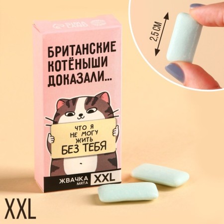 Chewing gum XXL “I can't live without you” in a box, 13.5 g.