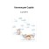 Set of covers PP 12 pcs, 212 x 347 mm, 80 μm, Erichkrause "Cupids", for notebooks and diaries, mix