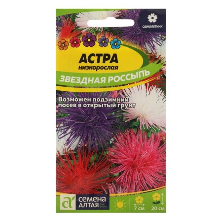 Flowers of the Astra "Star Bill", this. ALT, c/p, 0.2 g
