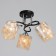 Arnella chandelier 3he27 40W Black 50x50x27 cm Bayerlux