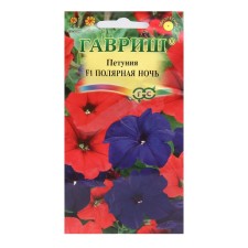 Bright flowers of petunia 