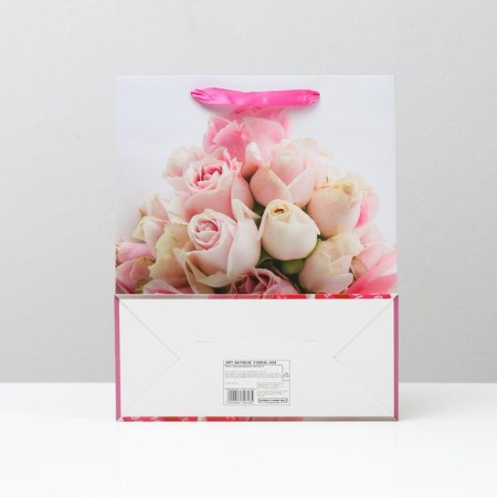 Laminated package, 26 x 32 x 12 cm-1