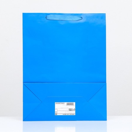 Laminated packet "Blue", 31 x 40 x 14 cm-1