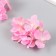 Flowers for decorating "hydrangea" pink 10x10 cm