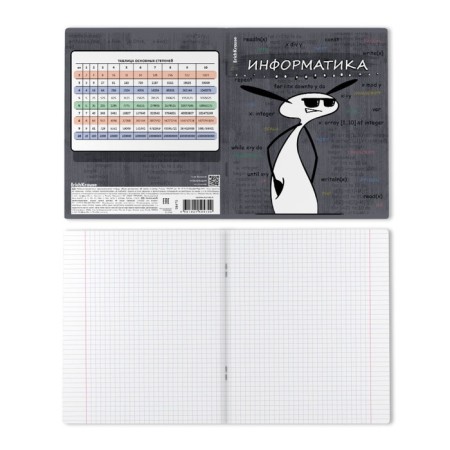 Subject notebook, 48 sheets, cage, computer science Erichkrause "Chubrik", plastic cover silk-screen covers, OFSET BELICT 100%, information block-1