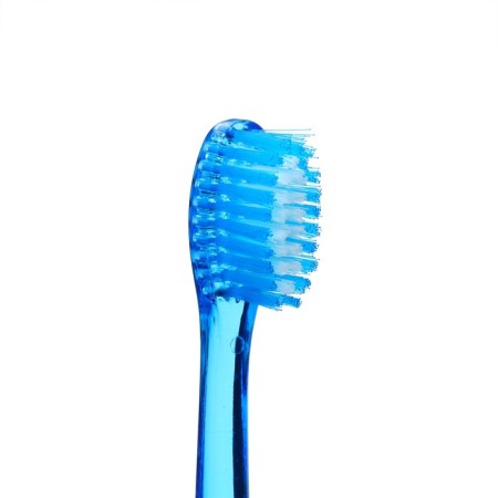 Folding toothbrush in individual packaging, 1 piece, medium stiffness, blue-2