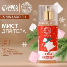 New Year. MIST for the body 
