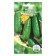 Cucumber seeds abundant 10 pcs