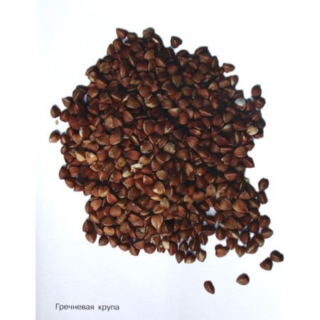 Cereals in pictures-2