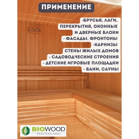 Antiseptic against the fungus and mold BioWood GP concentrate 1: 1, 5l-3