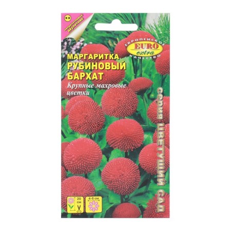Flowers Margarita "Rubin velvet", 0.02 g