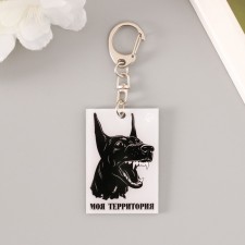 Acryl keychain 