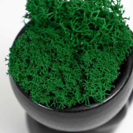 Concrete Kashpo "Mr. Evil" with moss 7*6cm black (moss green stabilized)-4