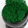 Concrete Kashpo "Mr. Evil" with moss 7*6cm black (moss green stabilized)