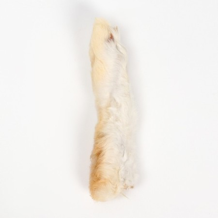 Titbit Titbit toy for cats, fluffy foot, 16 g-4