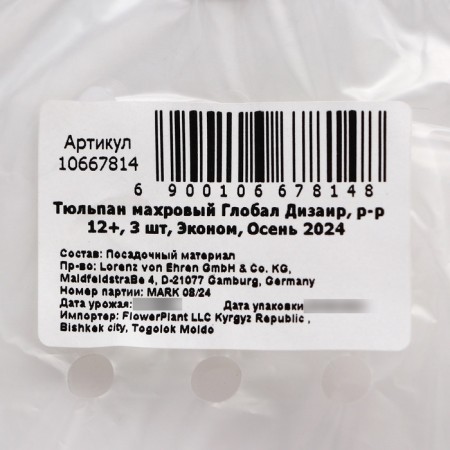 Tulip Tensor Global Dizair, Rr 12+, 3 pcs, Economy, Autumn 2024-2