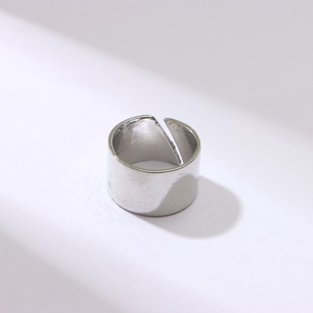 Ring "section" trend, color silver, dimensionless-3